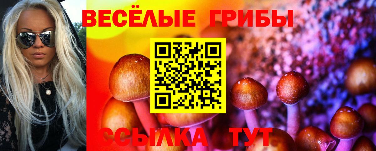 Псилоцибиновые грибы Magic Shrooms  Псилоцибиновые грибы MAGIC MUSHROOMS  Орск  Вход с VPN 